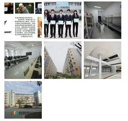 福州IT學校與軟件開發課程指南 為您鋪就技術職業之路